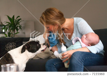 baby sleeps and the dog isnt baby sleeps and the dog isnt 7155960