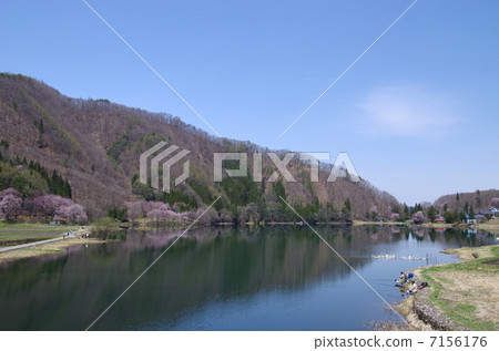 Spring of Shinshu Nakanishi Lake 7156176