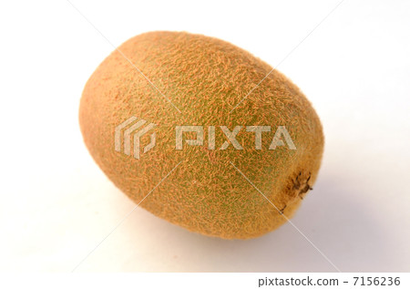Kiwi fruit	 7156236