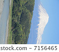 Mount Fuji  7156465