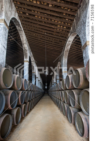 Sherry barrels in Jerez bodega, Spain 7156598