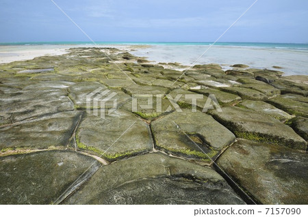 榻榻米搖滾 7157090