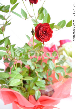 Miniature gift Miniature gift 7157175