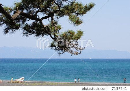 Miho no Matsubara松翡翠綠海 7157341