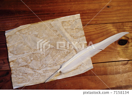 Pure white feather pen 7158134
