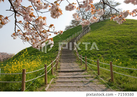 Spring scenery 7159380