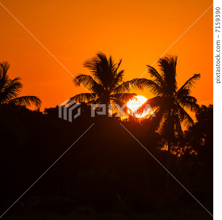 Tropical beach 7159390