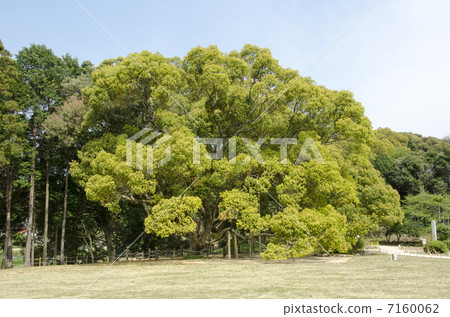 Kasu no Mori at the river 7160062