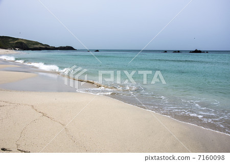 Shizukaze鈷藍色海灘 Shizukaze鈷藍色海灘 7160098