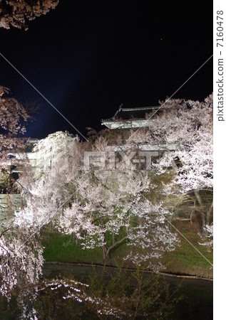 在Ueda城堡的櫻花在晚上 7160478