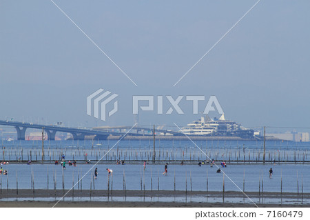 Kisarazu Ushikari Coast 7160479