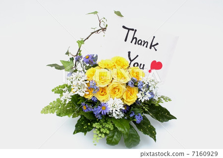 Thank you Thank you 7160929