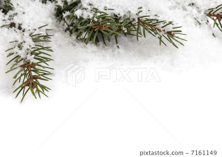 Spruce twig pattern Spruce twig pattern 7161149