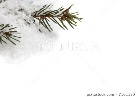 Spruce twig pattern Spruce twig pattern 7161150