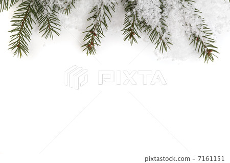 Spruce twig pattern Spruce twig pattern 7161151