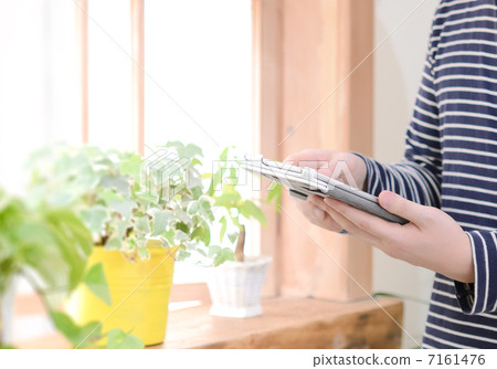 Houseplants and hands operating a tablet Houseplants and hands operating a tablet 7161476