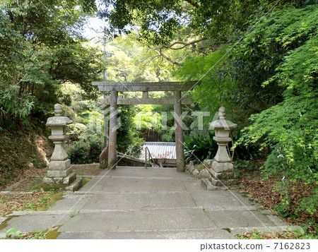 Throne Nail Falcon Tautou (Torii) 7162823