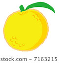 柚子 7163215