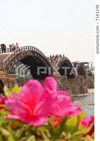 Kintai橋 7163246