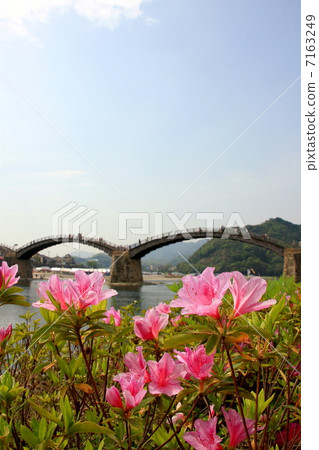 Kintai橋 7163249
