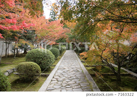 Autumn leaves approaching 7163322