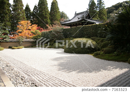 Ichinjo Honshu Front garden 7163323