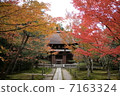 Autumn leaves premises 7163324