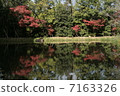 A pond to show autumn leaves 7163326