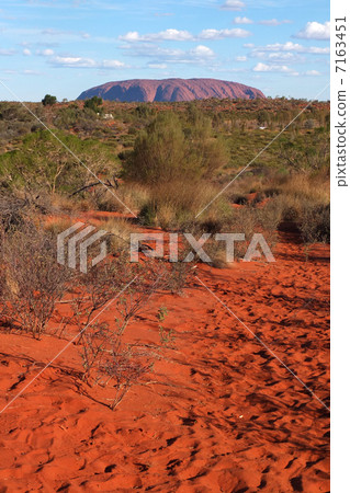 Ayers Rock illuminated by the sunset 7163451