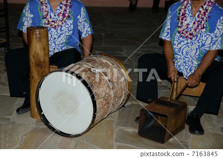 美國夏威夷儀器 7163845