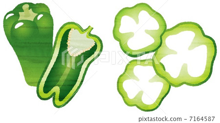 水彩風格甜椒 水彩風格甜椒 7164587