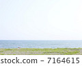 海洋閱讀 7164615