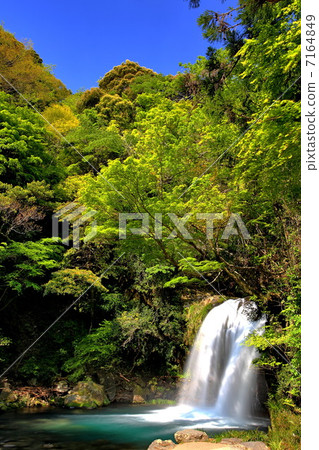 Kawazu Nanaki, Hatsukaifuri 7164849