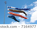Carp streamer 7164977