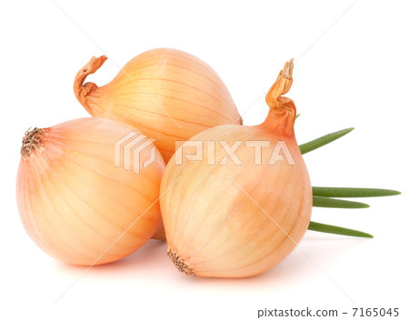 Onion vegetable Onion vegetable 7165045