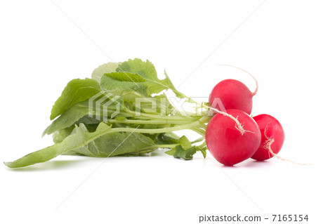 Small garden radish with leaves 7165154