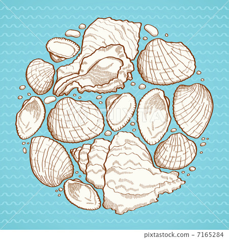 Seashell round design element Seashell round design element 7165284