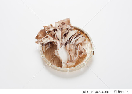 舞茸蘑菇 7166614