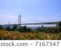 明石海峽大橋 7167347