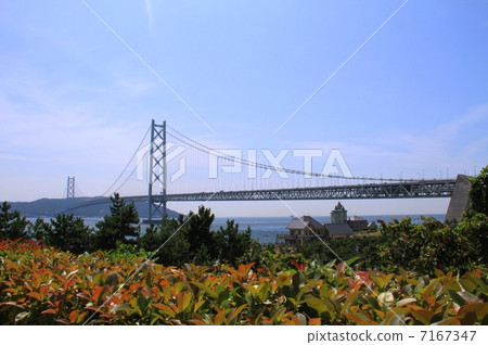 明石海峽大橋 明石海峽大橋 7167347
