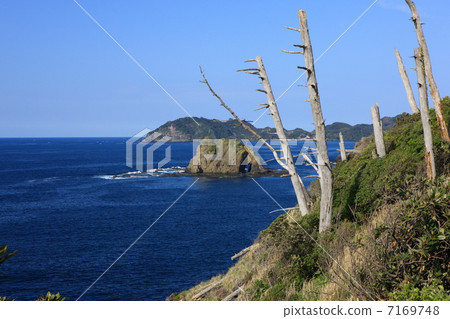 Shimane peninsula Shimane peninsula 7169748