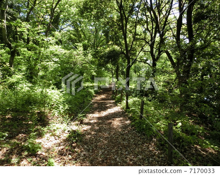 Path 7170033
