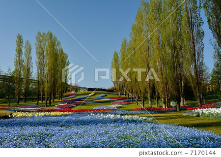 淡路島國立明石海峽公園 淡路島國立明石海峽公園 7170144