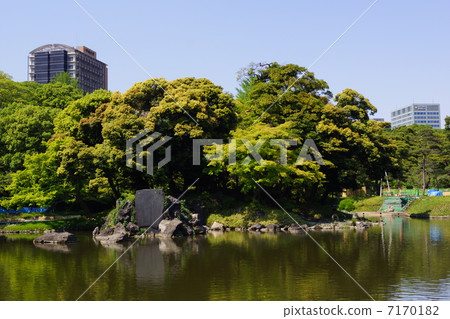 小石川後樂園 小石川後樂園 7170182