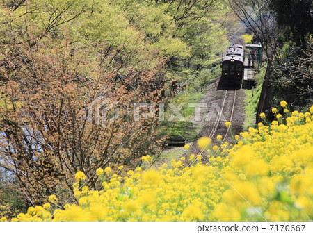Railway 7170667