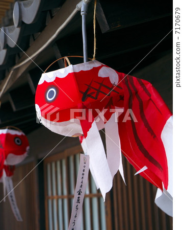 Goldfish lantern Goldfish lantern 7170679
