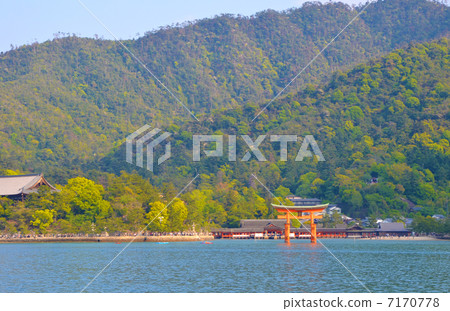 嚴島神社 嚴島神社 7170778