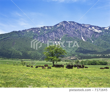 Onikoube plateau Onikoube plateau 7171645