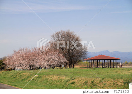 Watarase Setoikeike風景 7171853