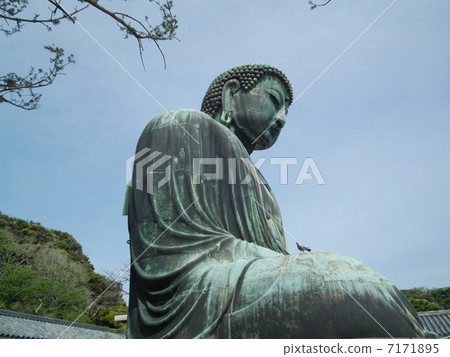 Kamakura Great Buddha Kamakura Great Buddha 7171895